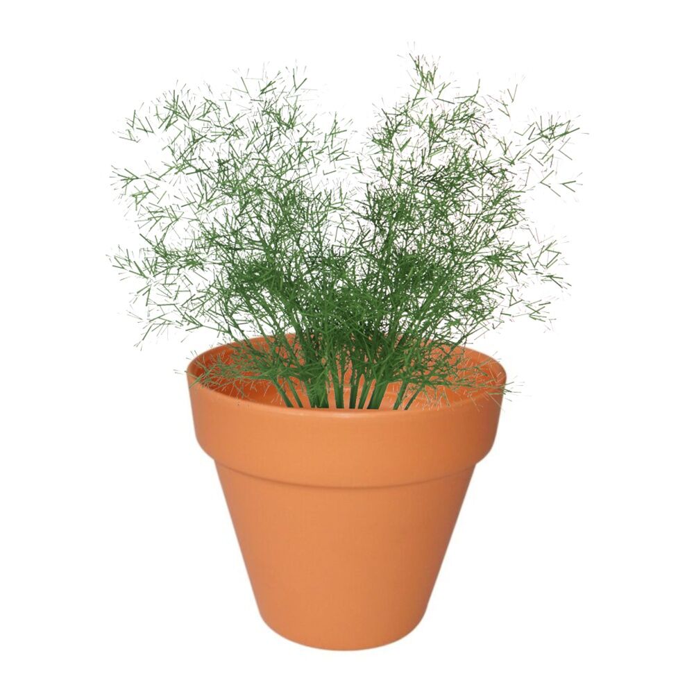 12PK Homeleisure Replicotta Round Pot 150mm Outdoor Garden