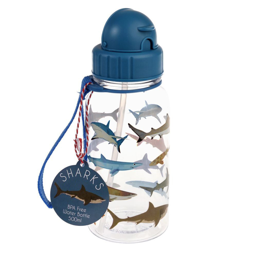 2PK Rex London Kids/Child 500ml Plastic Water Bottle - Sharks