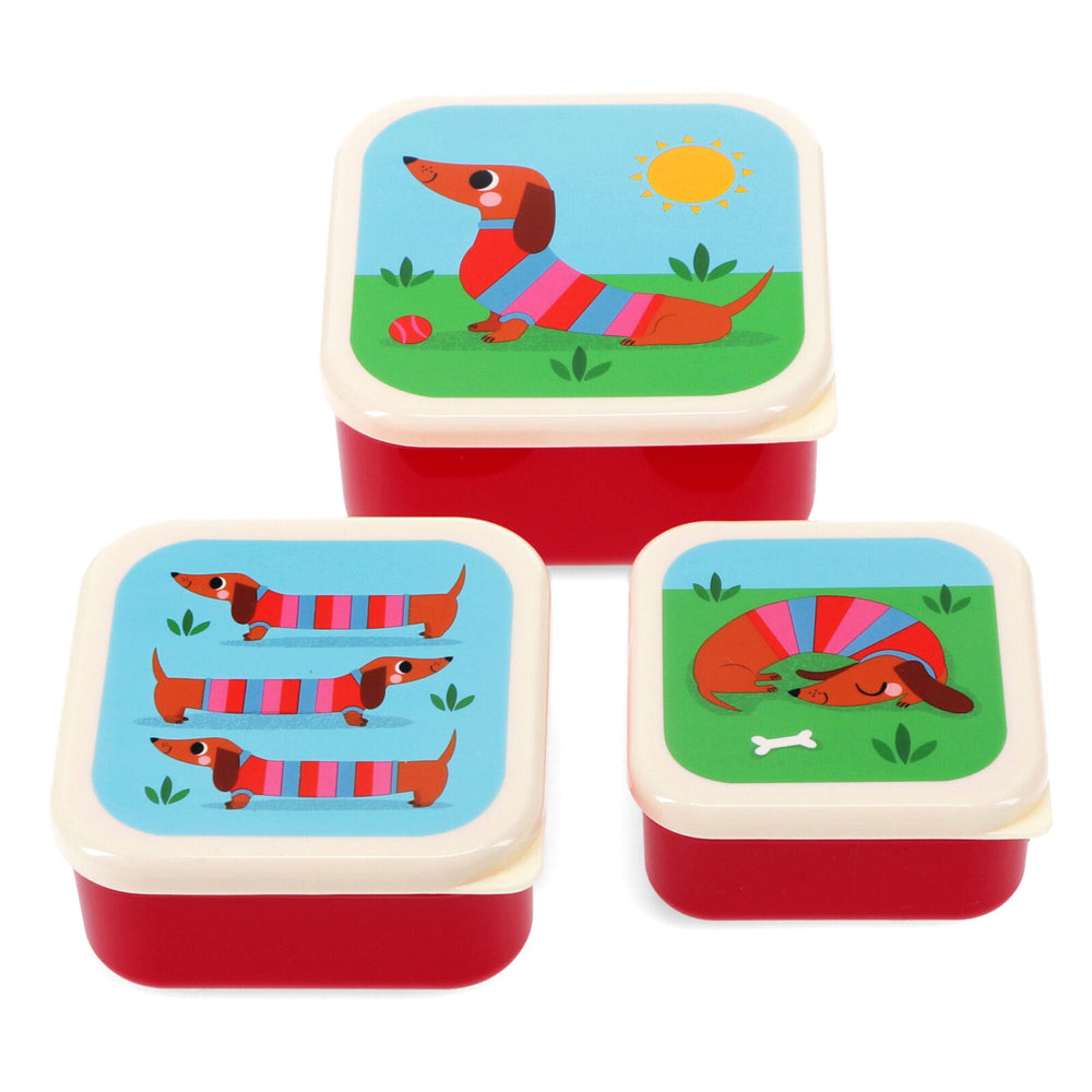 2x 3pc Rex London Kids Plastic Snack Box Square Set - Wild Wonders