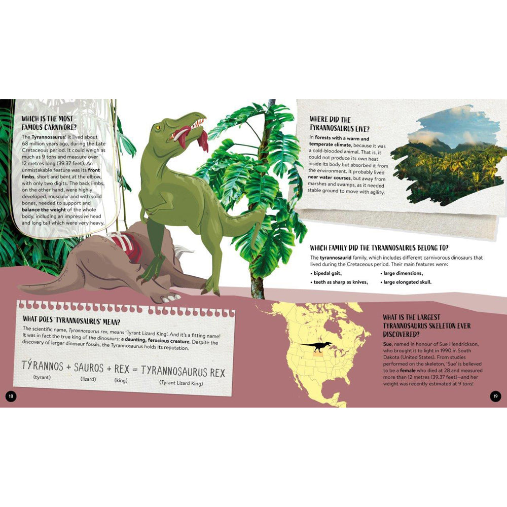 Sassi Book & Poster Kids/Children What How & Why Dinosaurs 6y+
