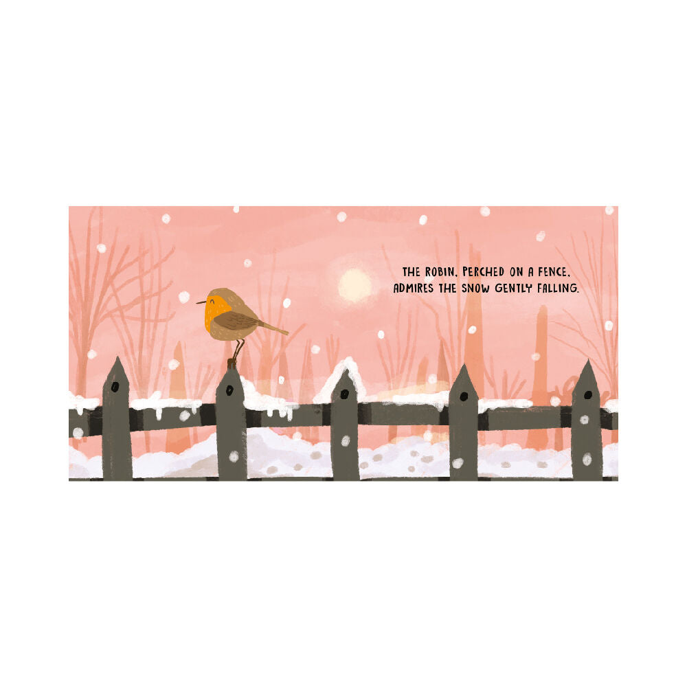 Sassi Sweet Sounds Stories Baby/Kids Audio Board Book Birds 12m+
