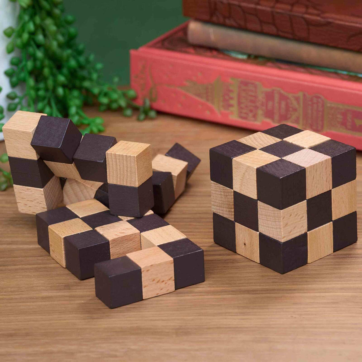 4PK Smart Brain Snake Wood Cube Puzzle Solving Kids Toy