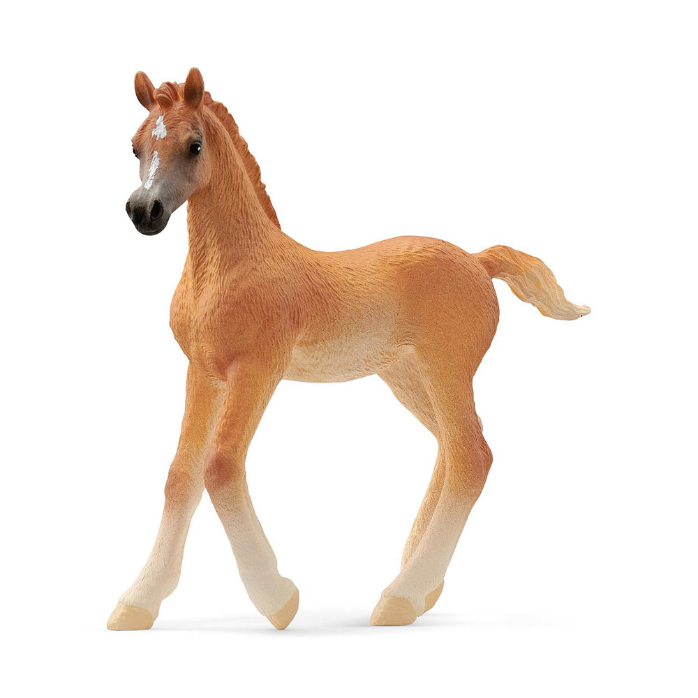 2PK Schleich 3.1'' Arab Foal Animal Action Figure Kids Toy 3-8y