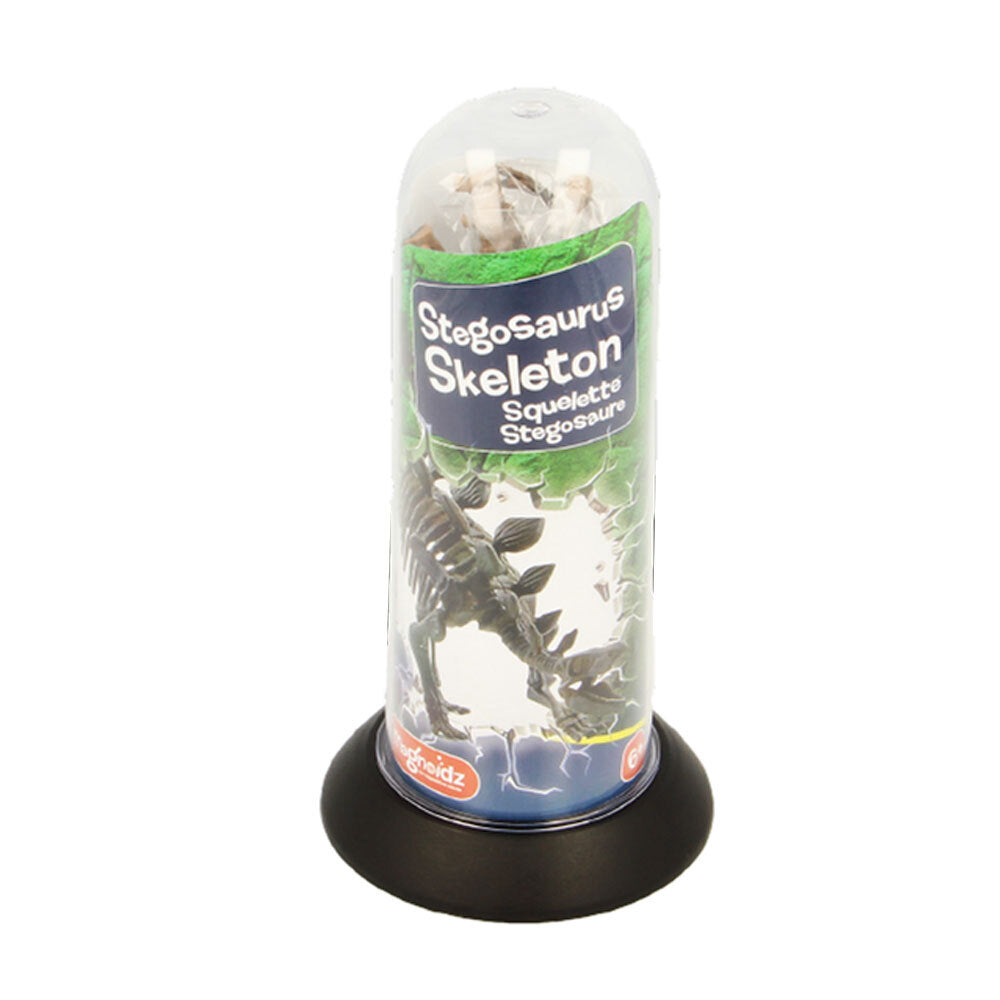 Magnoidz 3D Dinosaur Skeletons 18cm - Assorted