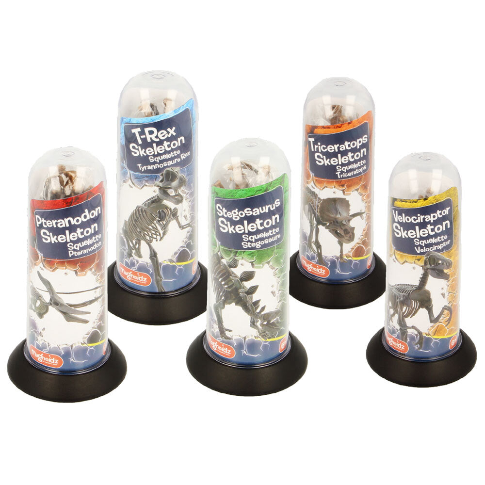 Magnoidz 3D Dinosaur Skeletons 18cm - Assorted