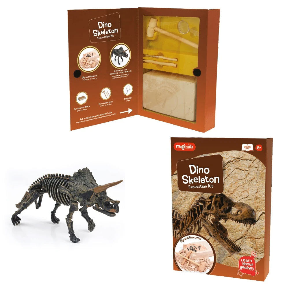 Magnoidz Dino Skeleton Excavation Kit