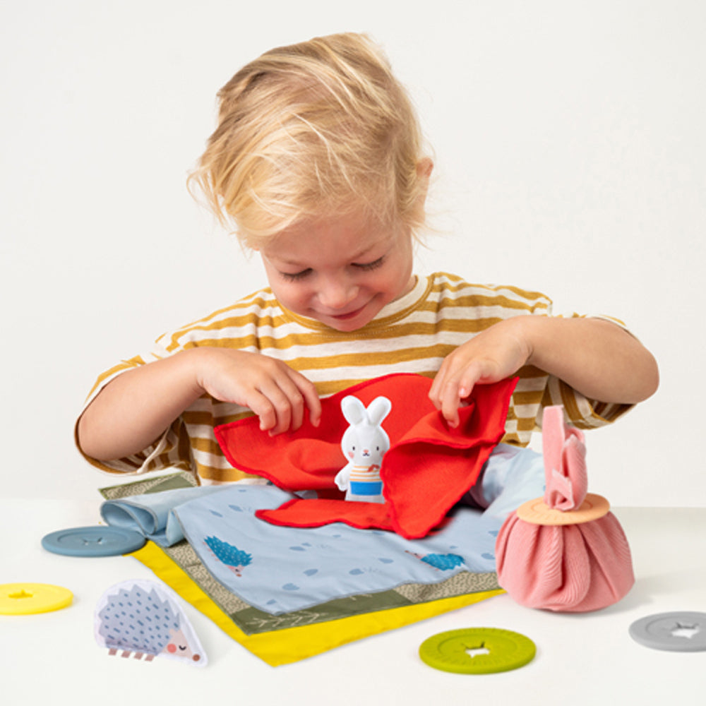 Taf Toys Peek-a-boo What's Inside Baby/Infant Activity Play Toy 18m+