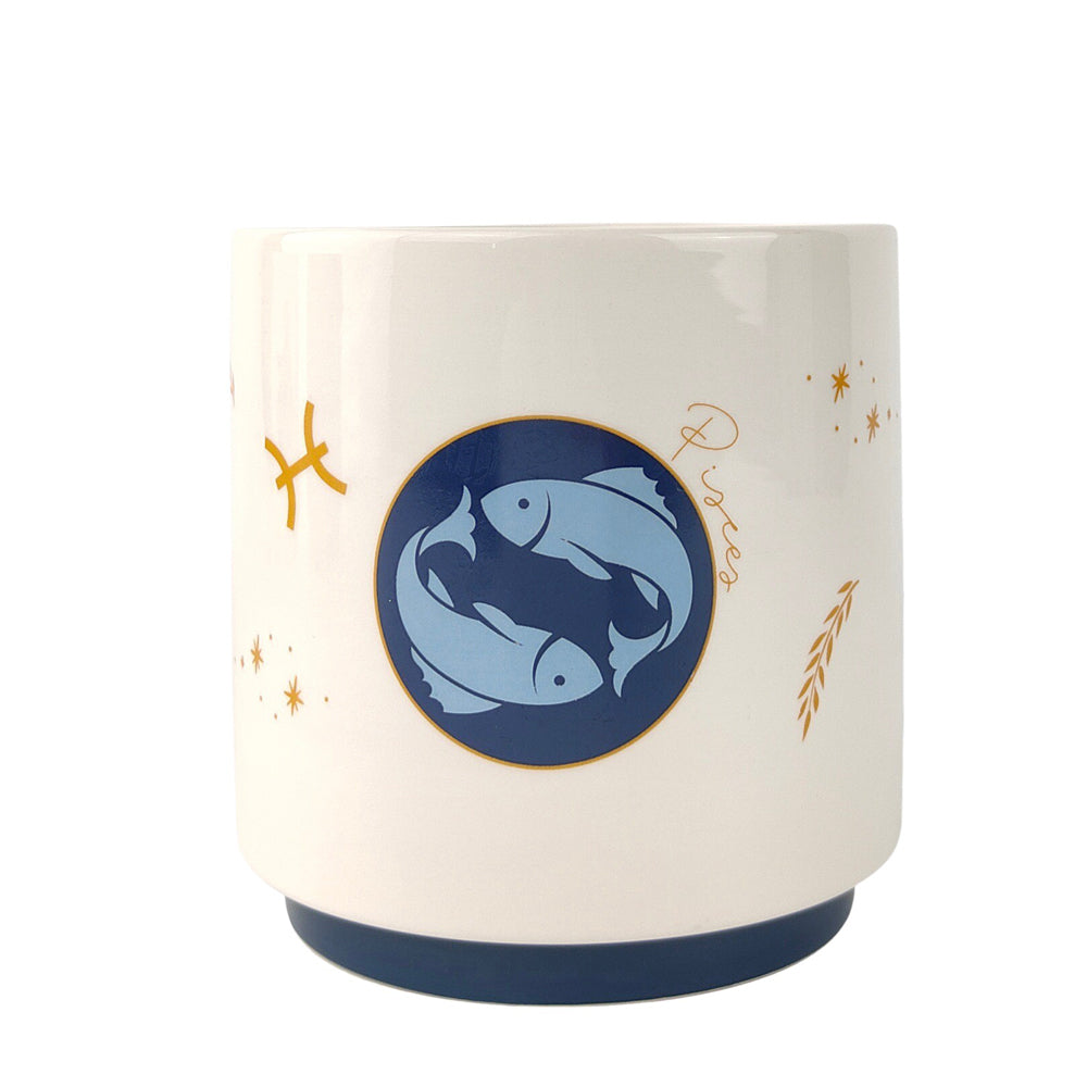 2x Urban Pisces Zodiac 13cm Ceramic Planter Pot Small - Blue