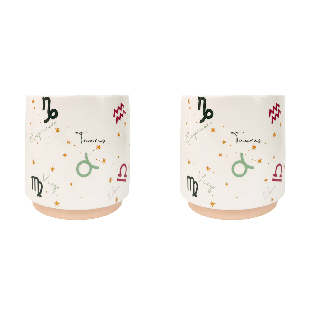 2x Urban Zodiac 13cm Ceramic Planter Colourful Flower Pot - Small