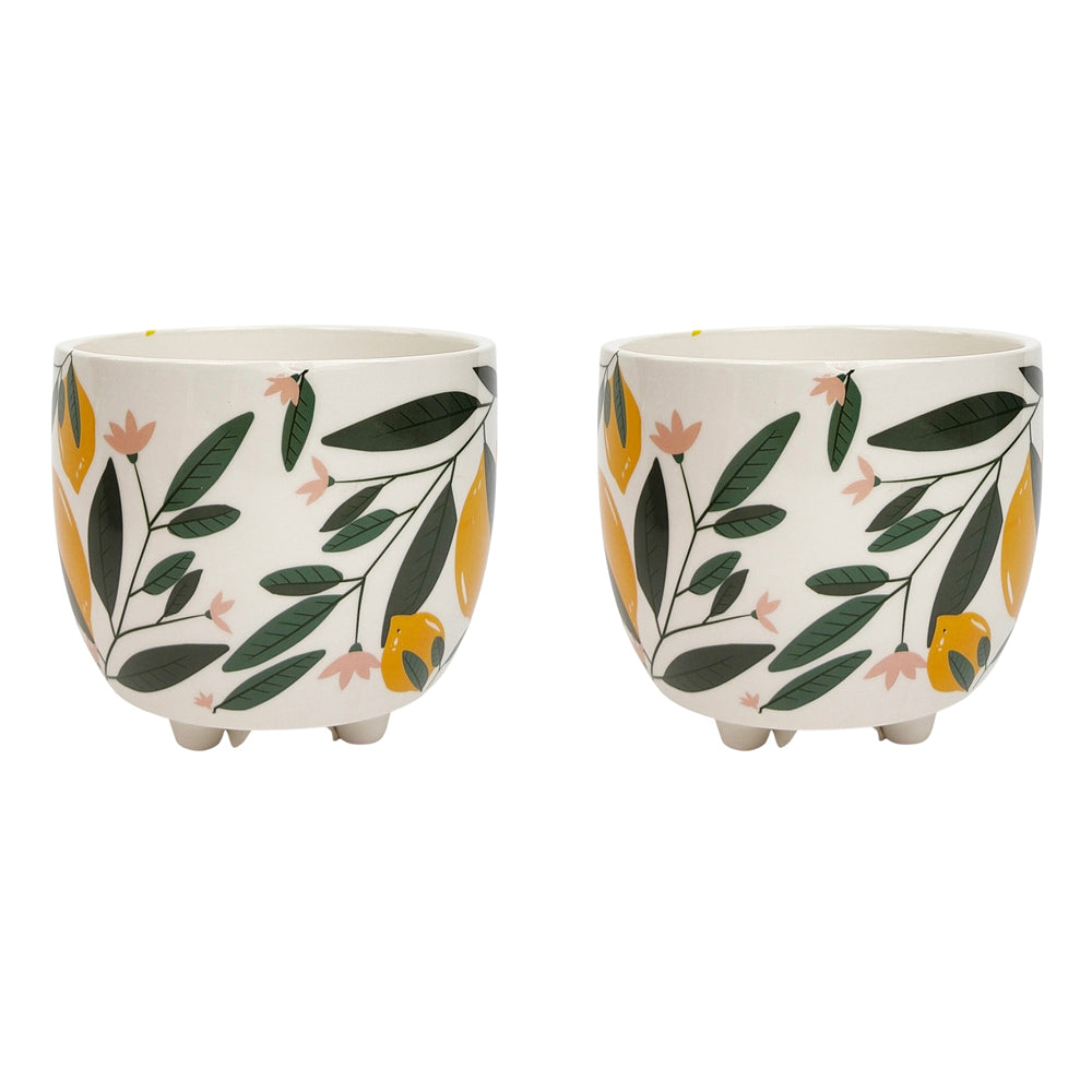 2x Urban 10cm Evergreen Ceramic Planter Plant Pot Small - Yellow/Green