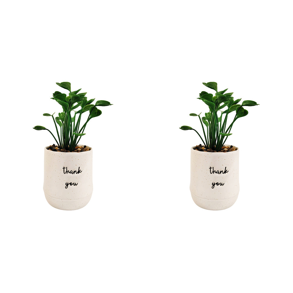 2x Urban Positivity Quote 9cm Thank You Potted Plant Artificial Home Decor