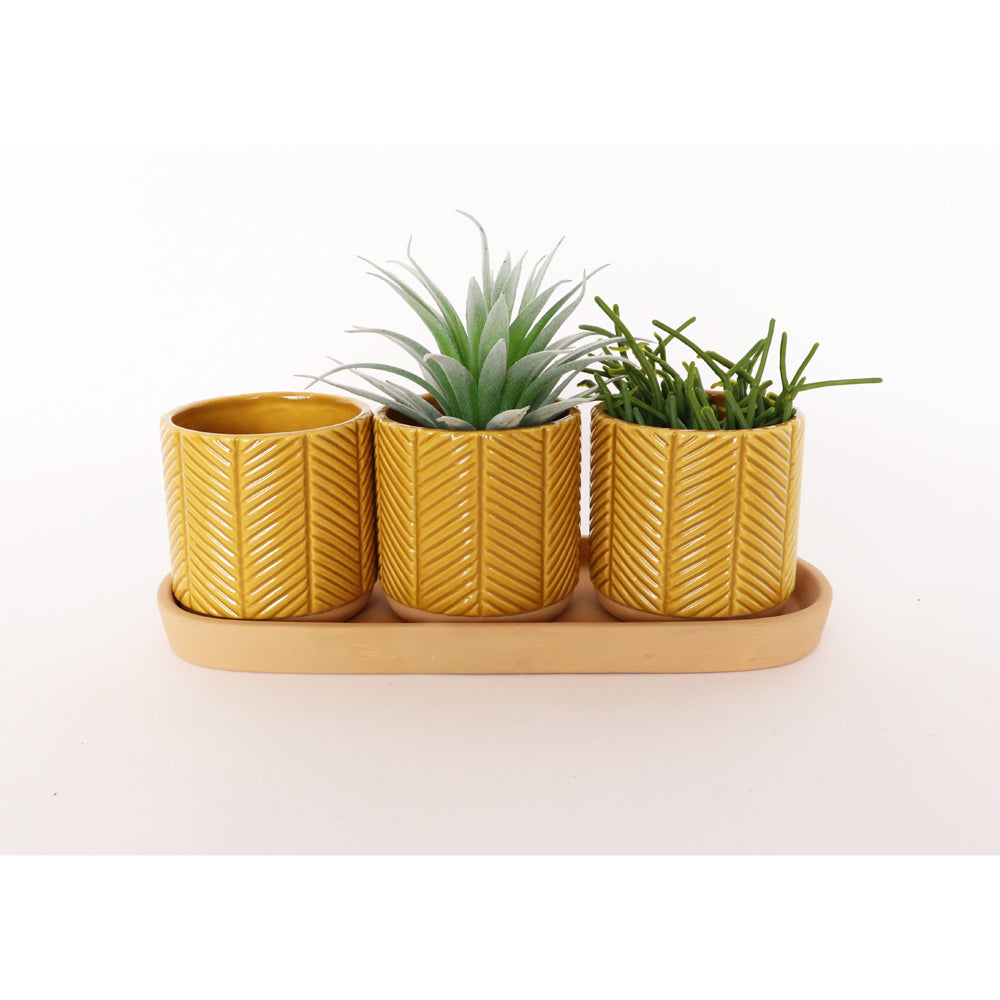 2x 3pc Urban Zari 8cm Ceramic Planter Pot w/ Saucer - Mustard