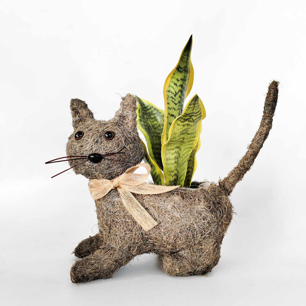 Urban Products HUSK Cat Home Decor Planter Grey 32cm