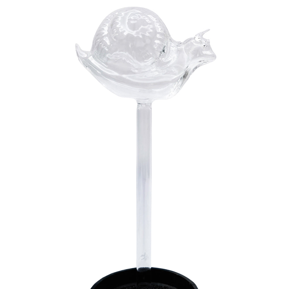 3PK Urban Snail Plant Water Seeper Clear 24cm Durable Watering Can Garden Decor