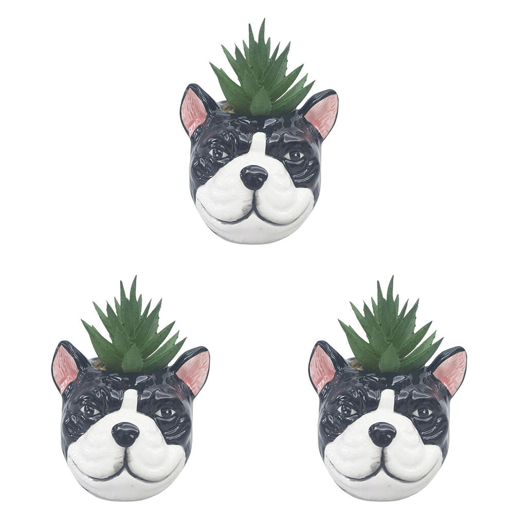 3PK Urban Ceramic Mini Bulldog Decorative Planter Pot with Plant 10cm Black