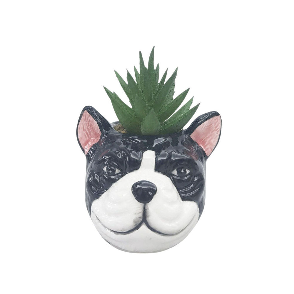3PK Urban Ceramic Mini Bulldog Decorative Planter Pot with Plant 10cm Black