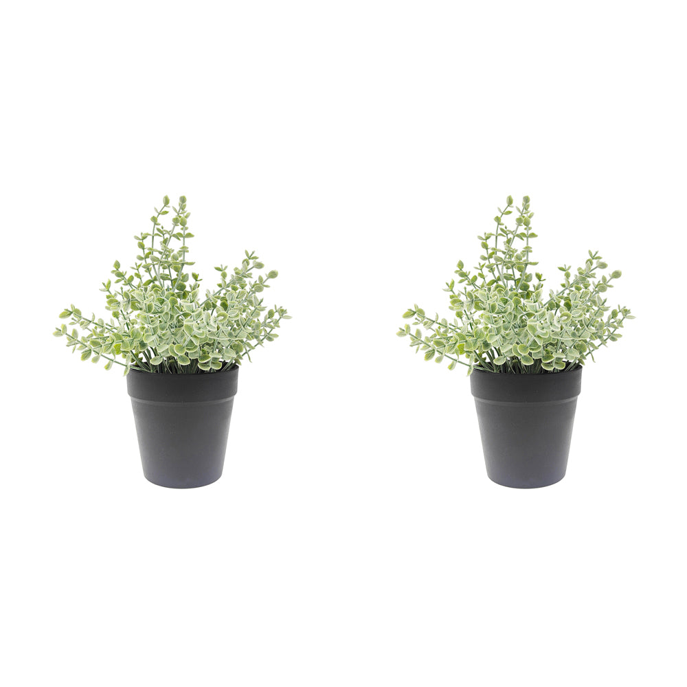 2x Urban Eucalyptus 23cm Artificial Potted Plant - Green