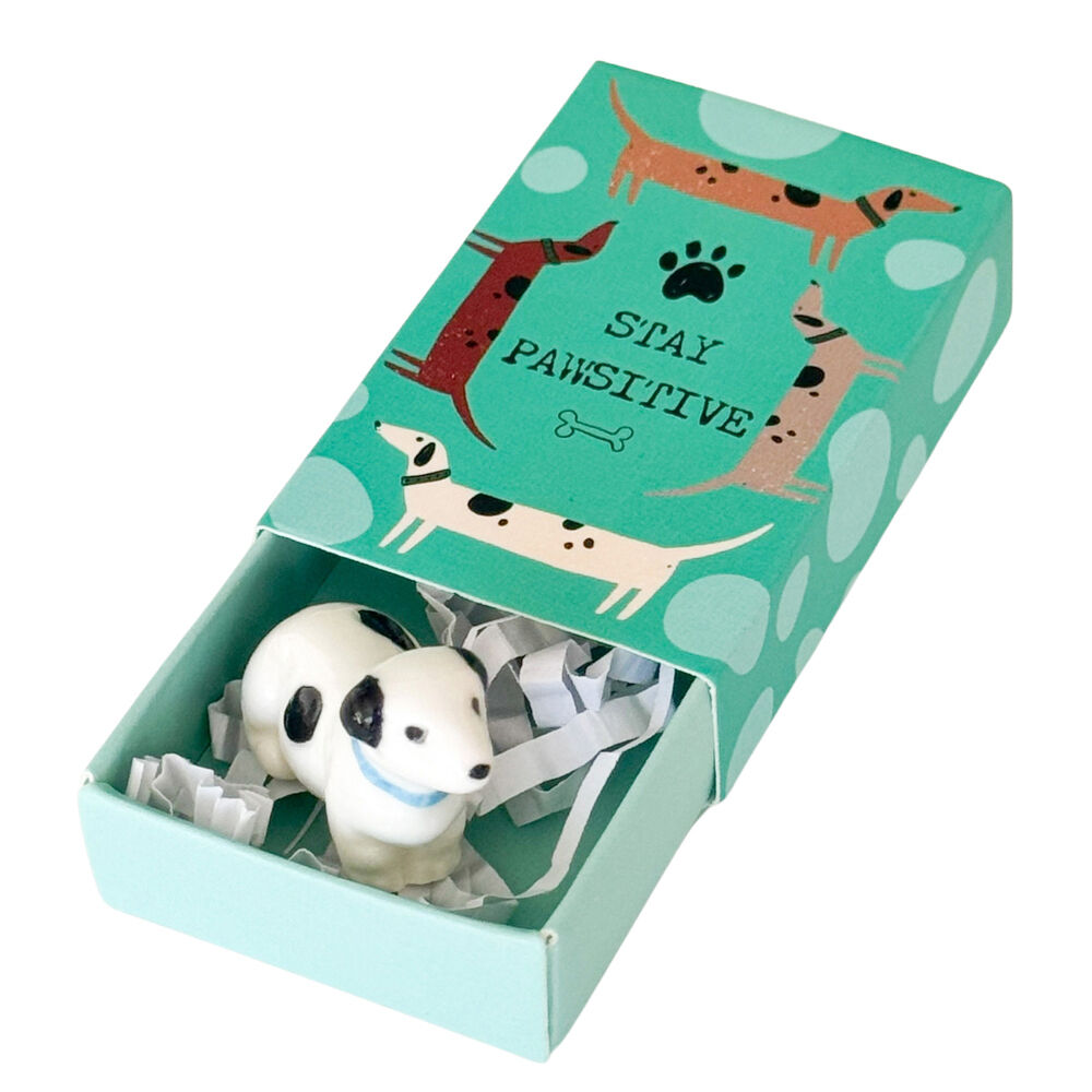 8PK Urban Pawsitive Dog Matchbox Memory Gift Keepsake Figurine 5cm Turquoise