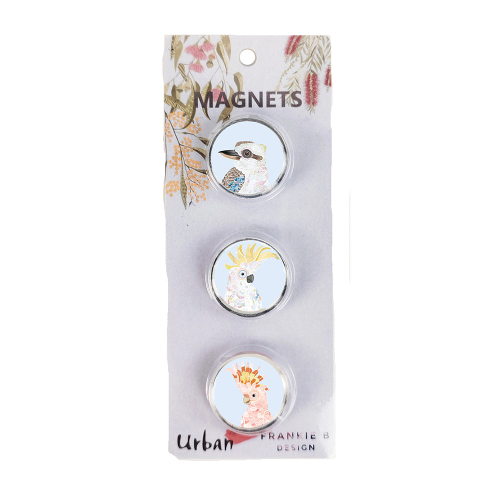 3x 3pc Urban 3cm FB Australia Birds Magnets Home Fridge Decor