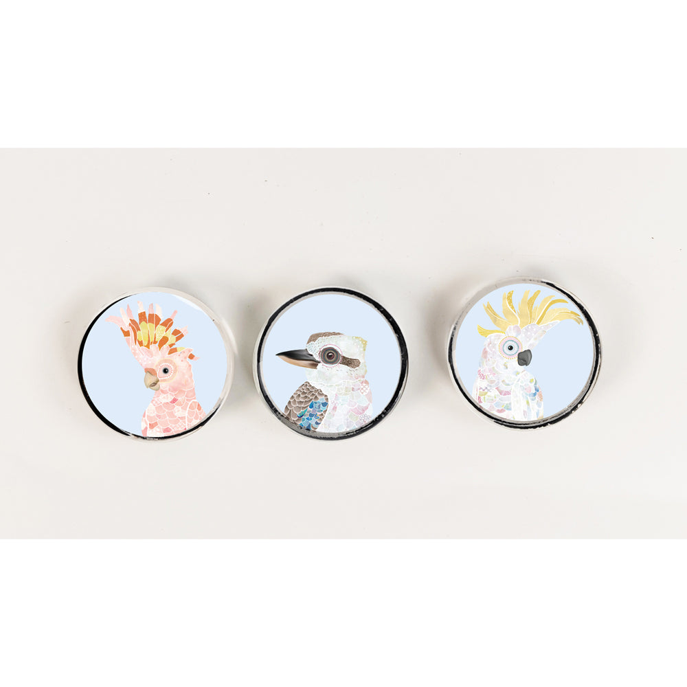 3x 3pc Urban 3cm FB Australia Birds Magnets Home Fridge Decor