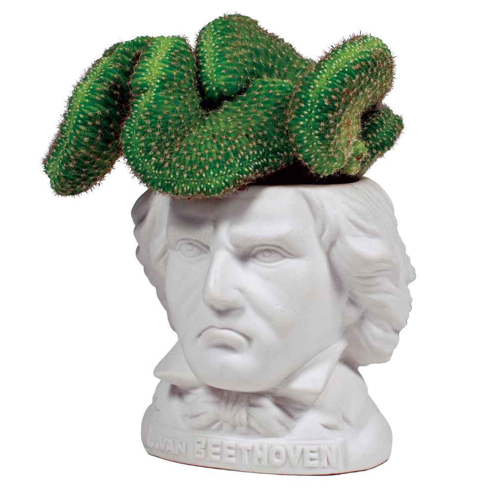 Unemployed Philosophers Guild Ludwig Van Beethoven Planter 9cm - White