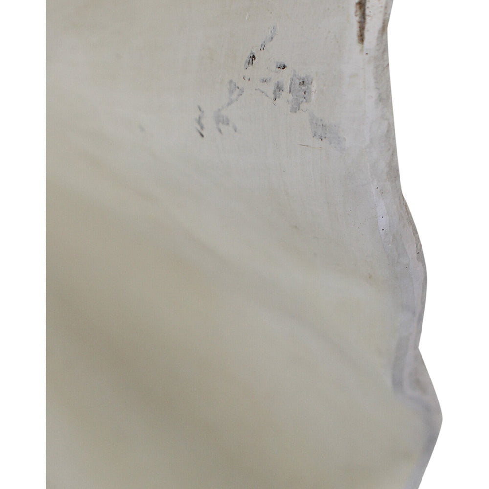LVD Decorative 53cm Resin Clam Shell/Trinket Decor XL - White/Beige
