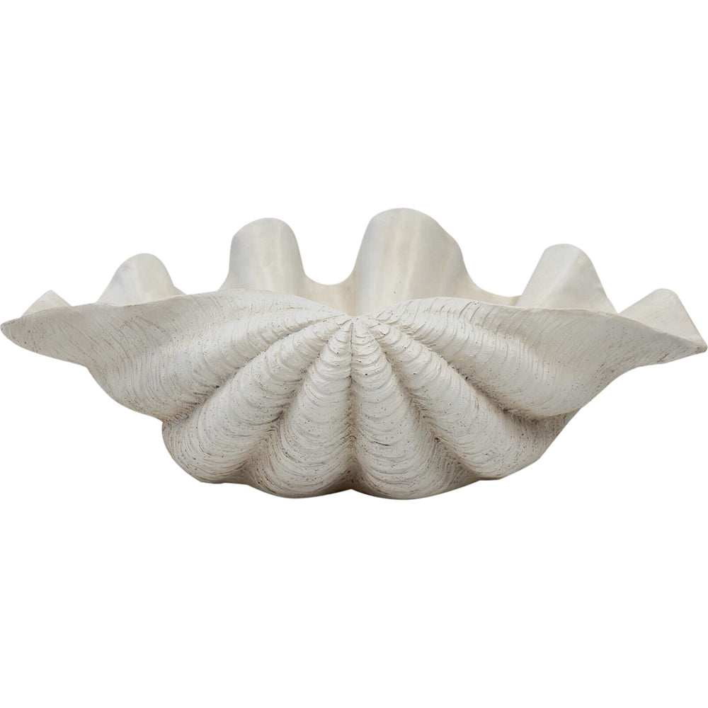 LVD Decorative 53cm Resin Clam Shell/Trinket Decor XL - White