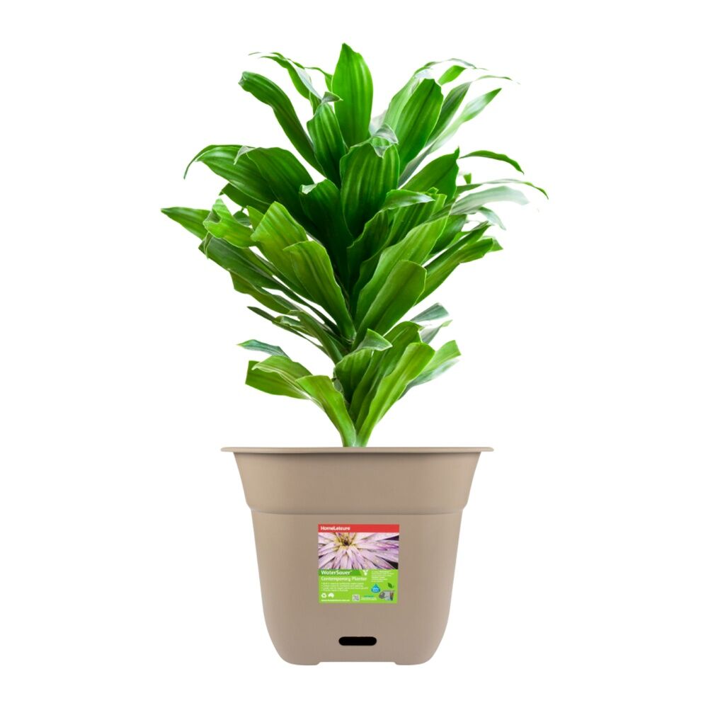 5PK Homeleisure WaterSaver Square Pot Planter 40cm Taupe Home Garden