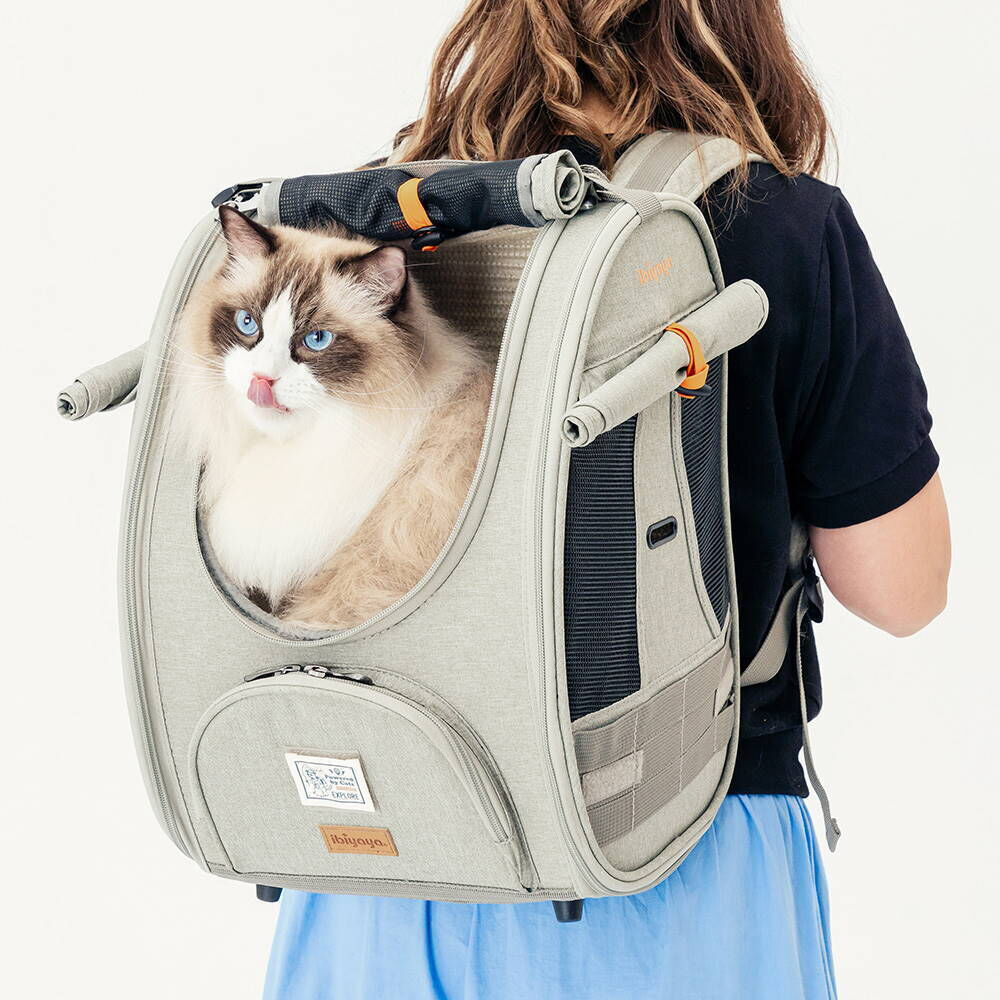 Ibiyaya Adventure Cat & Small Dog Pet Travel Carrier Backpack Grey/Green
