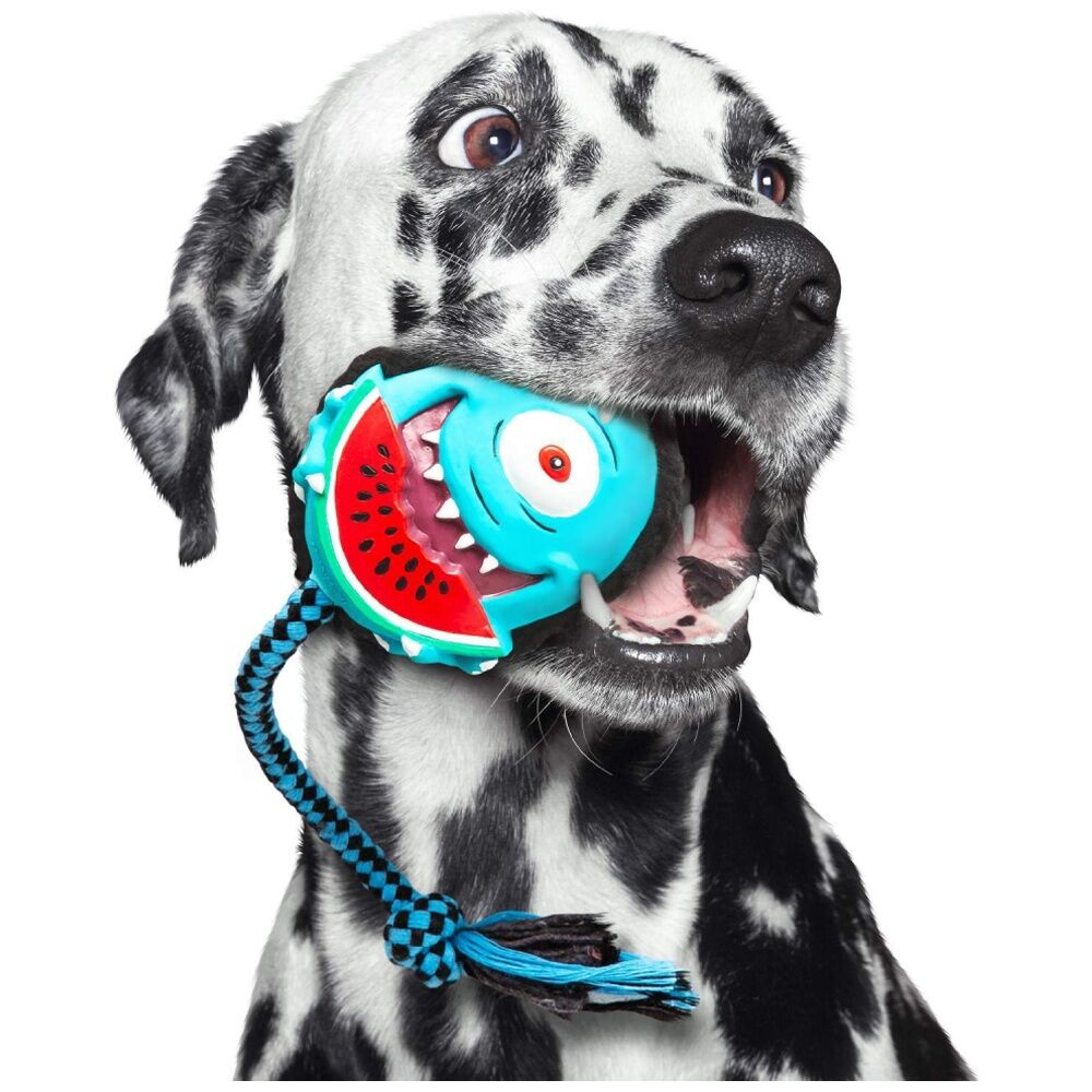 Max & Molly Squeaker Snuggles Dog Chewing Toy w/ Cotton Rope Bubba King