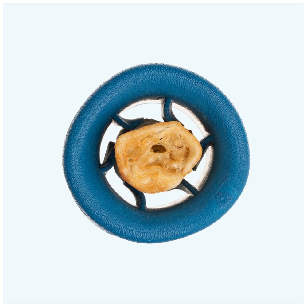 West Paw Funnl Pet Dog Treat Dispenser Soft Chew Toy Marine