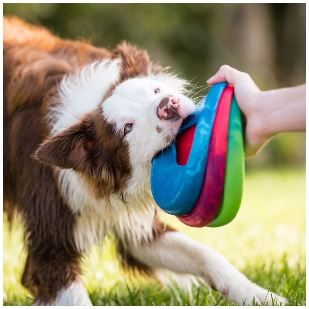 West Paw Sailz Discus Golf Pet Dog Throwing Soft Chew Toy Large Hibiscus