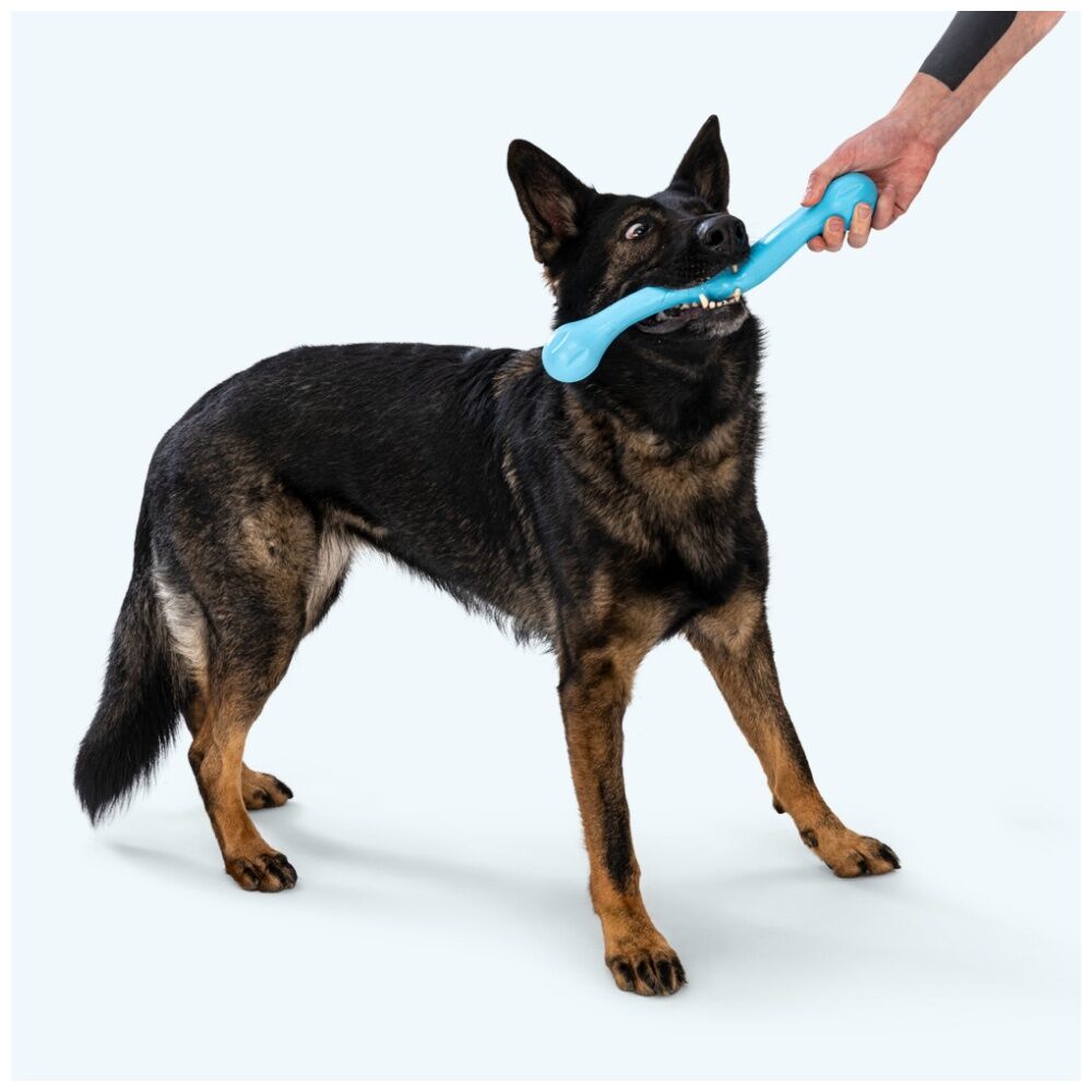 West Paw Zwig Pet Dog Fetch Throwing Soft Chew Toy Dandelion