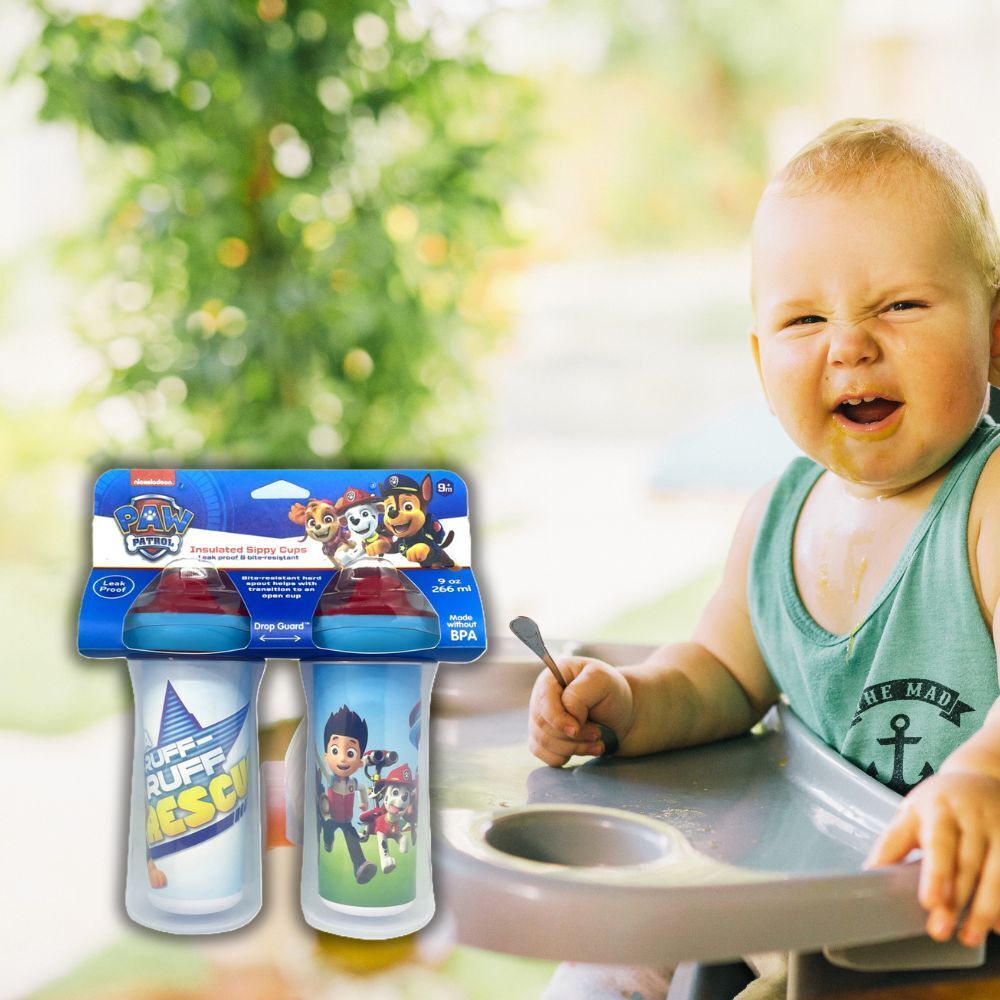 2pc Paw Patrol 9oz/266ml Insulated Sippy Cup Kids 9m+