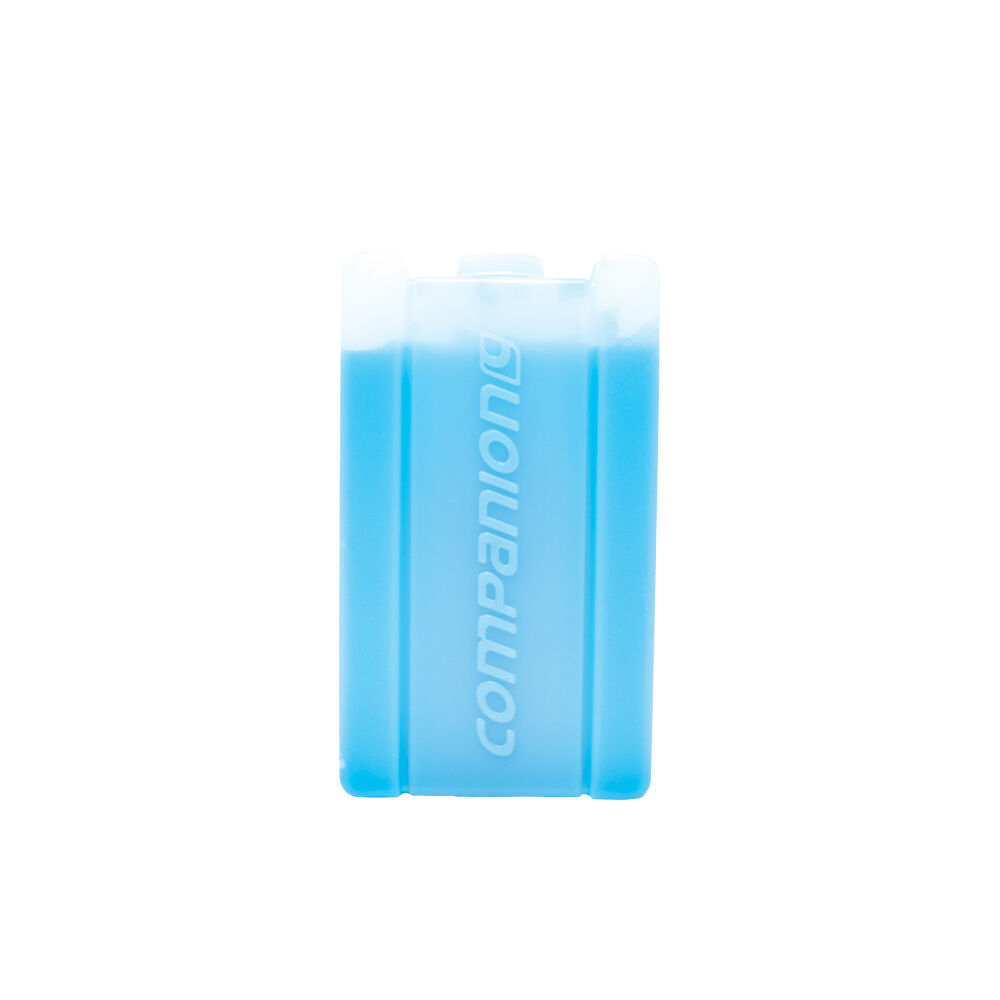10PK Companion 350ml Ice Travel Cooler Brick Medium 16x9cm - Blue