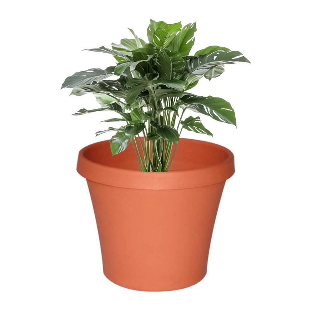 5PK Homeleisure Planterra Pot 300mm Terracotta Garden