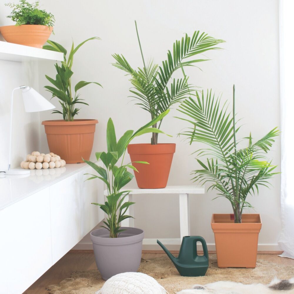 5PK Homeleisure Planterra Pot 300mm Terracotta Garden