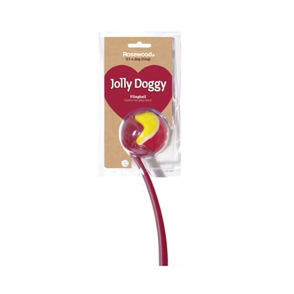 3PK Rosewood Jolly Doggy Flingball Pet Dog Chew Fun Training Outdoor Toy Assorted
