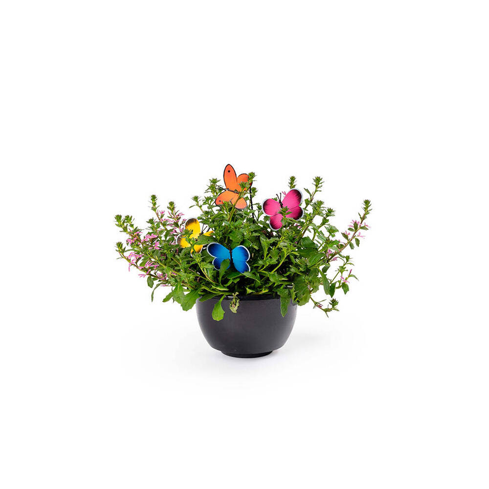 4PK Butterfly Clip Home/Garden/Patio Display Decor - Assorted