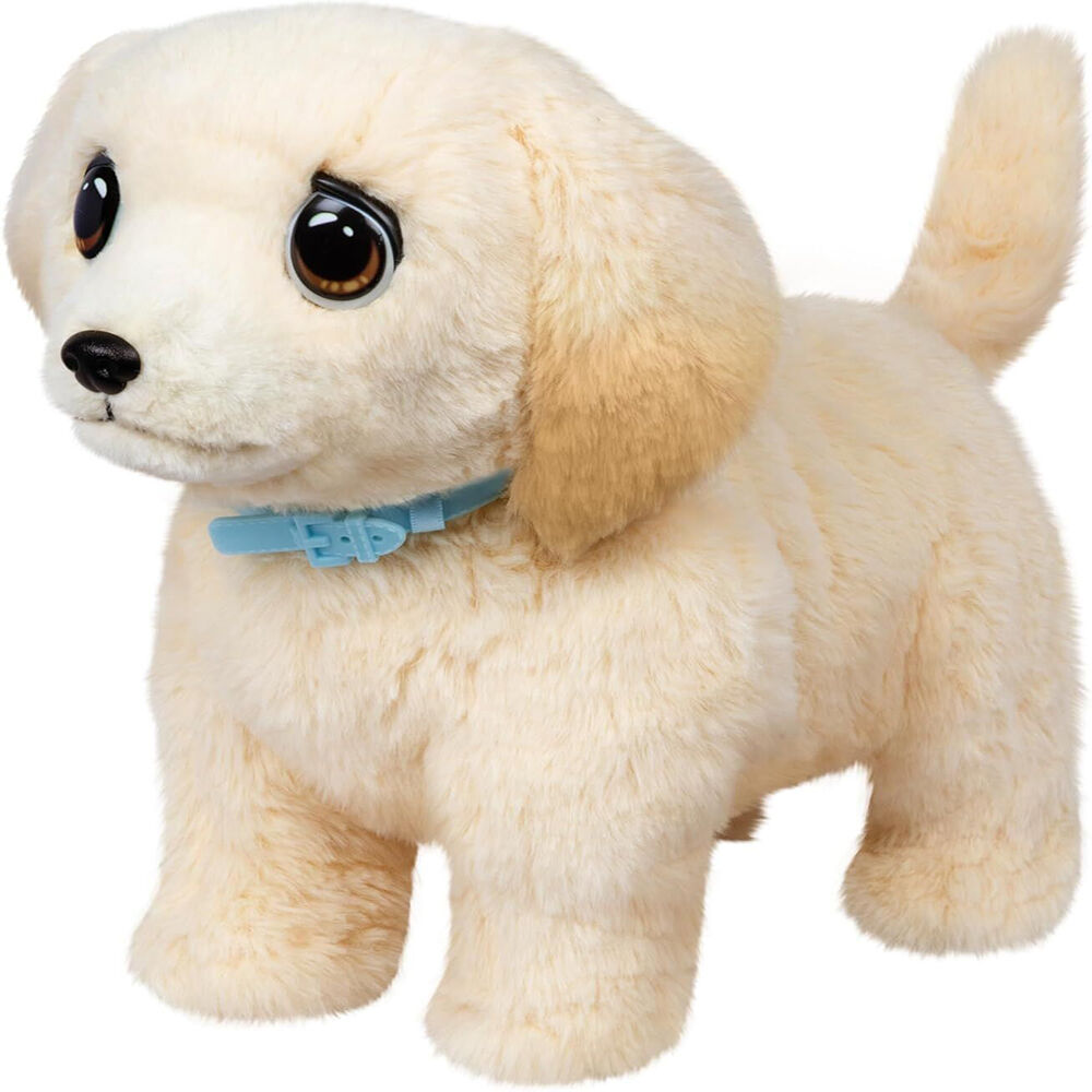 Little Live Pets Ouchies Single Pk Interactive Puppy Plush Toy