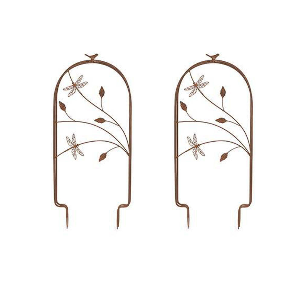 2PK Growing Metal Frame Small Rust Home/Garden Decor 34x78cm - Assorted