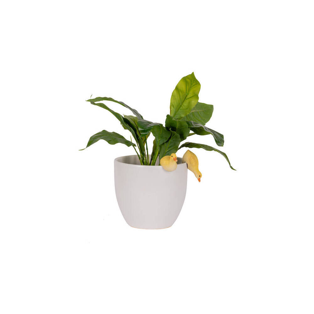 8PK Polyresin Fixed Gap Duckling Pot Sitters Home Plant Pot Decor - Assorted