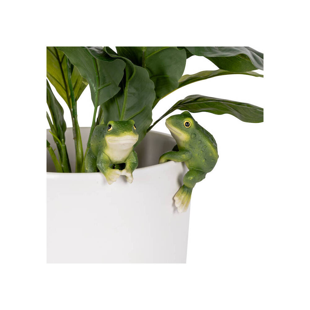 8PK Polyresin Fixed Gap Frog Pot Sitters Home Plant Pot Decor - Assorted