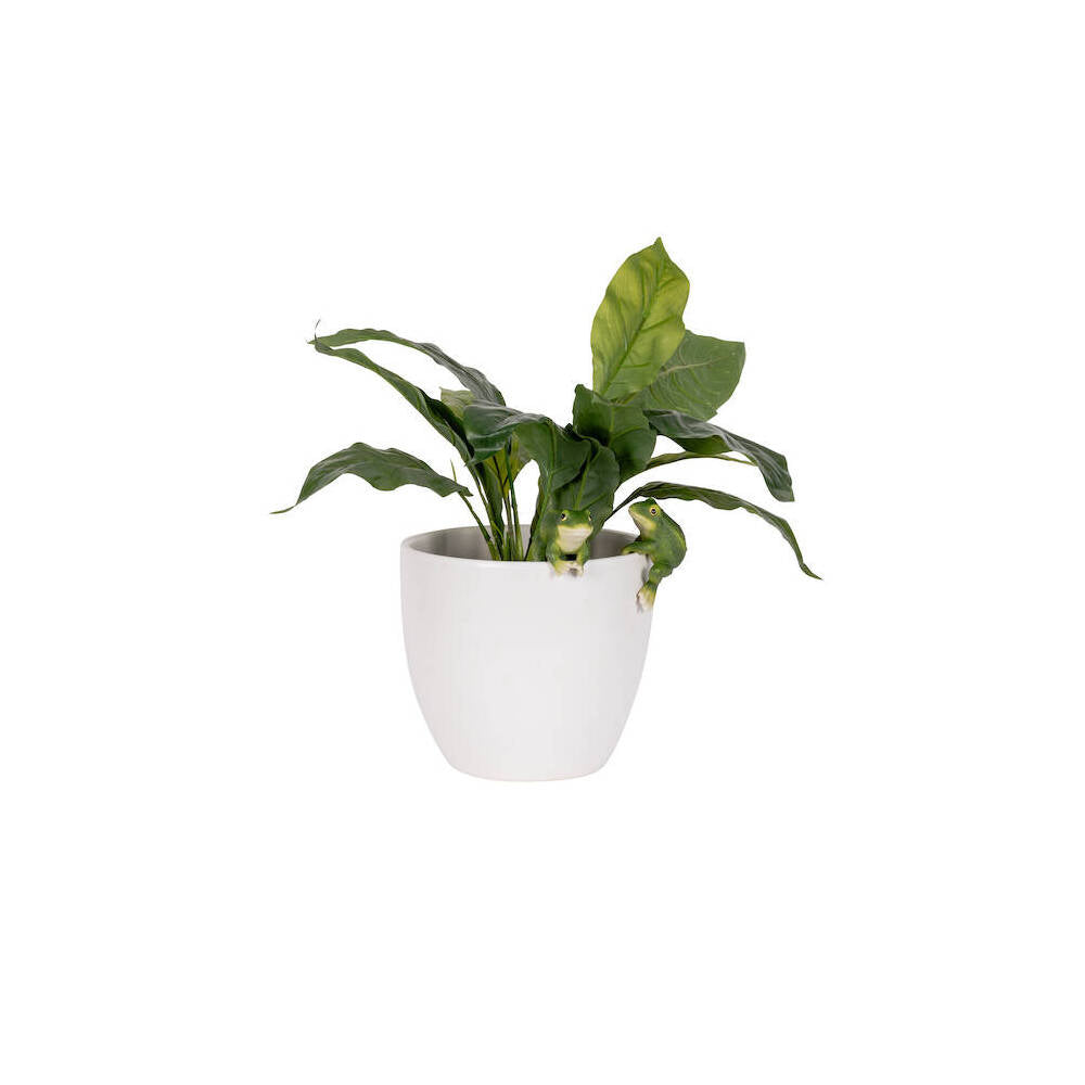 8PK Polyresin Fixed Gap Frog Pot Sitters Home Plant Pot Decor - Assorted