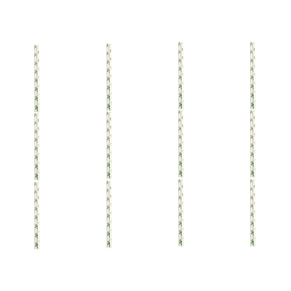 12x 50pc Appetito Disposable Paper Straws Home Kitchen - Cactus
