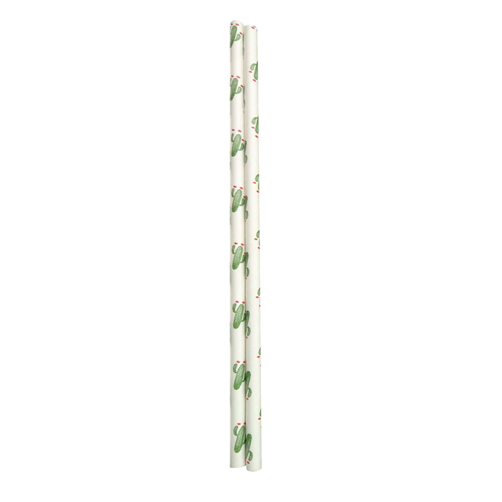 12x 50pc Appetito Disposable Paper Straws Home Kitchen - Cactus