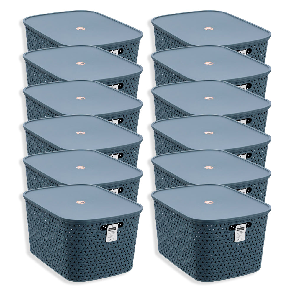 12PK Boxsweden Woven Rattan 26L/40cm Lidded Basket Storage - Assorted