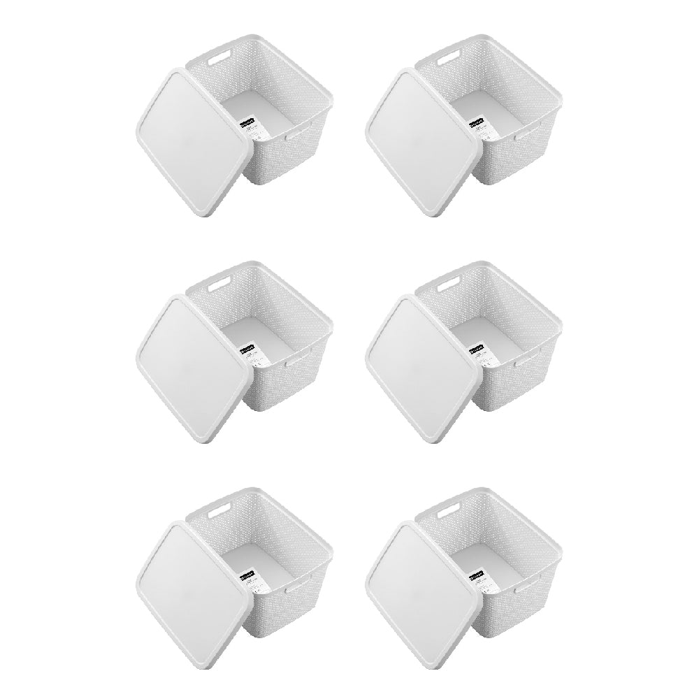 6PK Boxsweden Aero Lidded Storage Basket 19L/38.5cm - Assorted