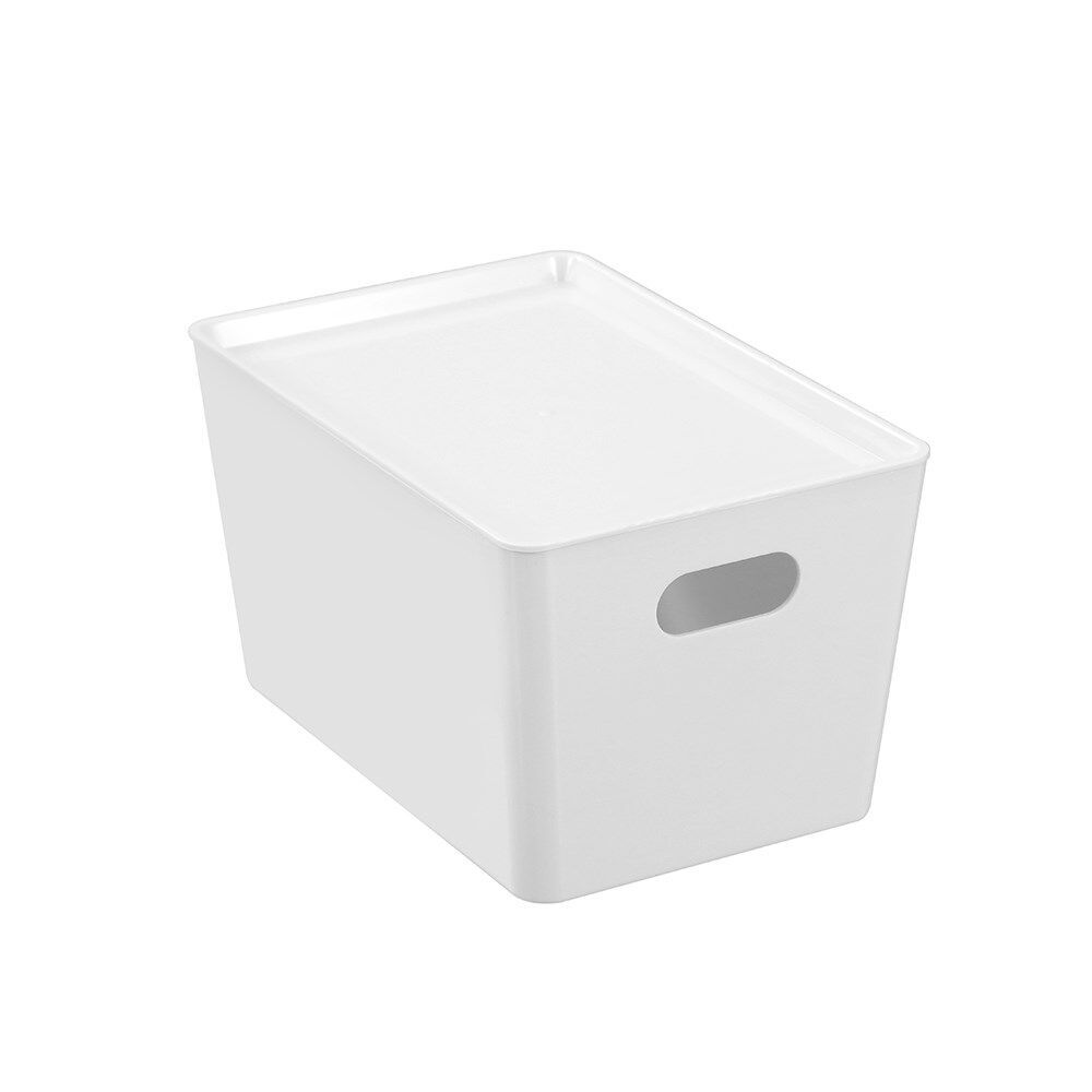 12PK Boxsweden Smooth Tidy Storage Box 5.6L 26x17.5x14.5cm Assorted