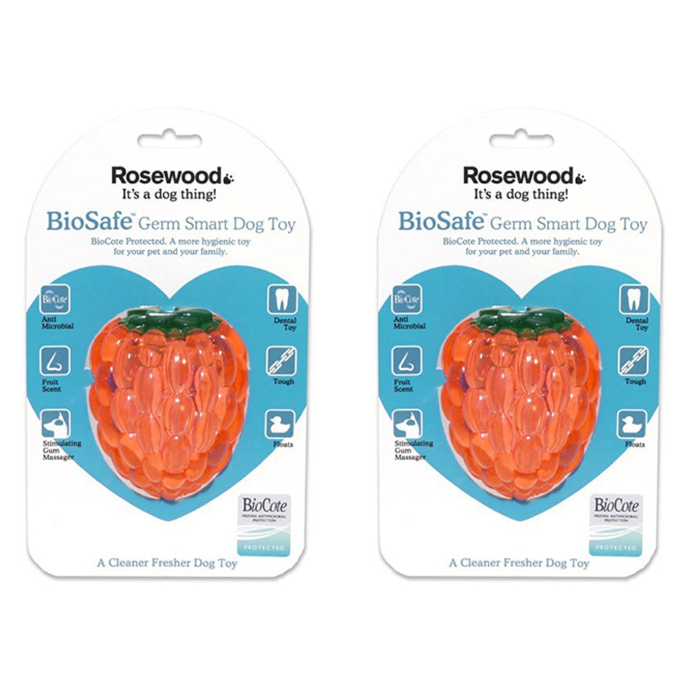 2PK Rosewood 10cm Antimicrobial Raspberry Biosafe Pet Dog Dental Chew Toy Orange
